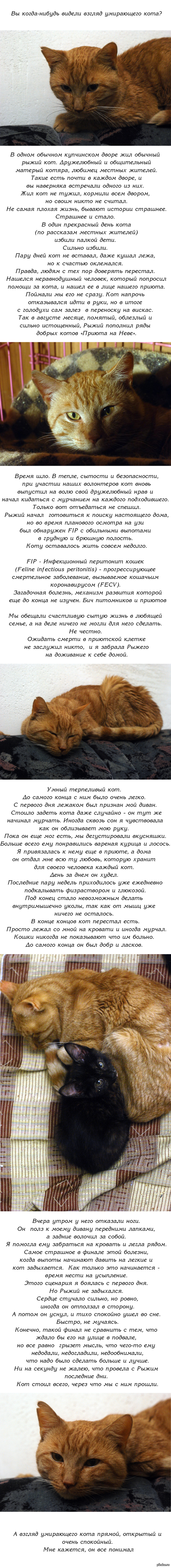 Кракен современный маркет